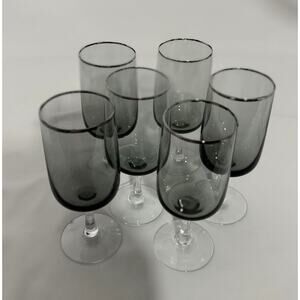 Fostoria Cherish Smoke Gray Platinum Trim Tulip Wine Glasses Set of6 6 1/8” Tall